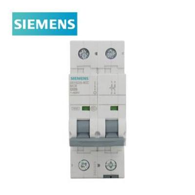 西門子 SIEMENS 5SY6系列 微型斷路器5SY6 2P D13